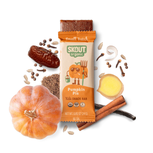 Skout Organic Pumpkin Pie Kids Bar