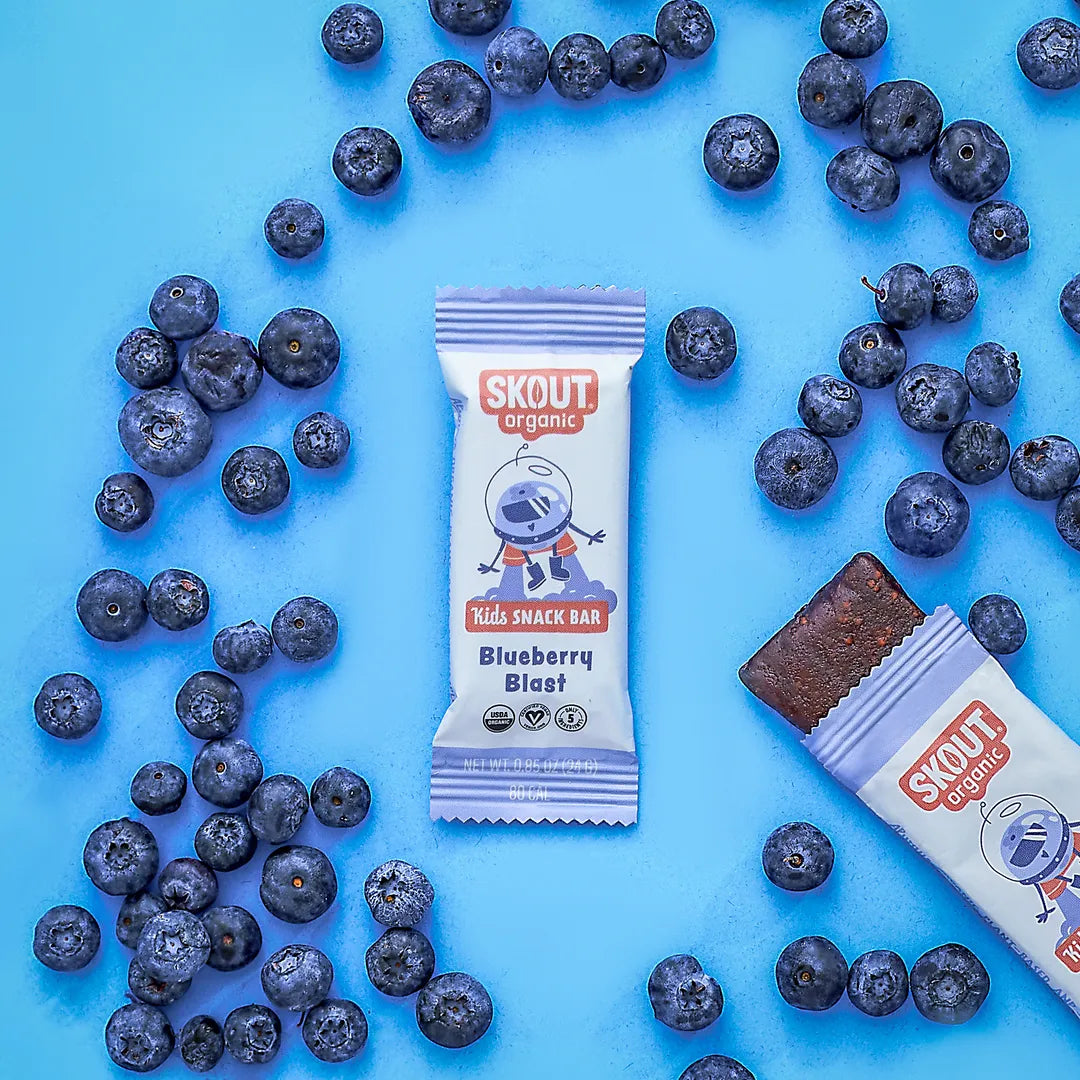 Skout Organic Blueberry Blast Kids Snack Bar