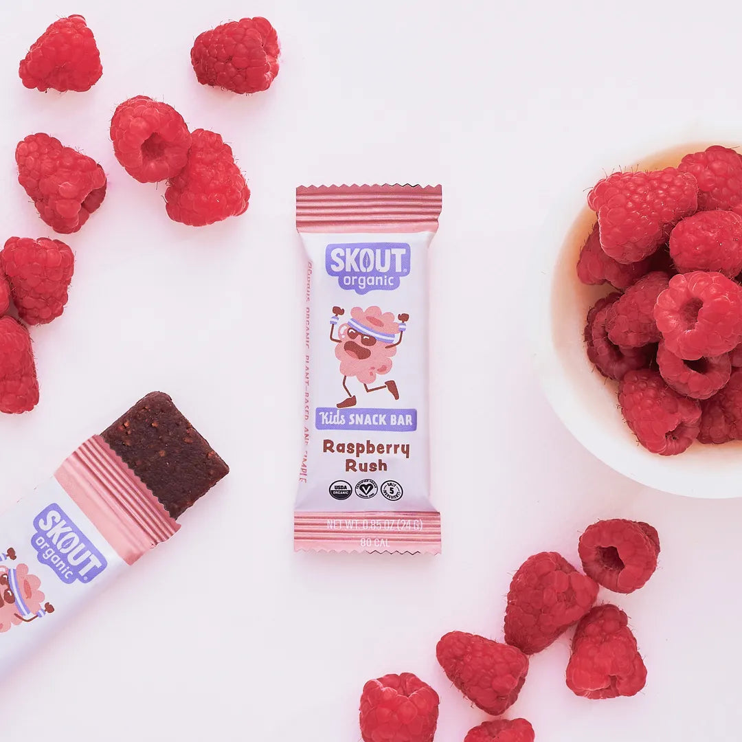 Skout Organic Raspberry Rush Kids Snack Bar