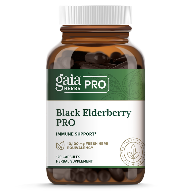 Black Elderberry PRO