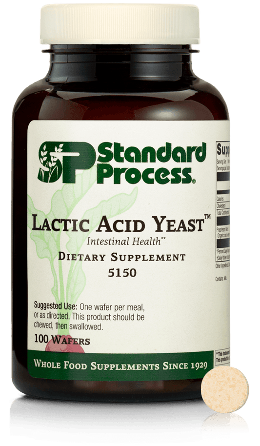 Lactic Acid Yeast