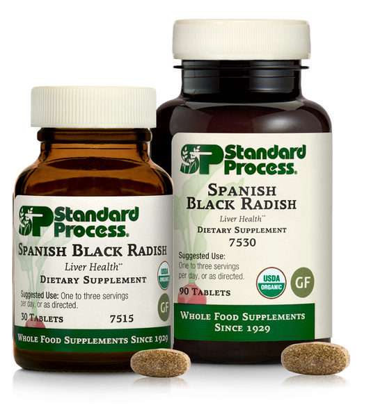 Spanish Black Radish