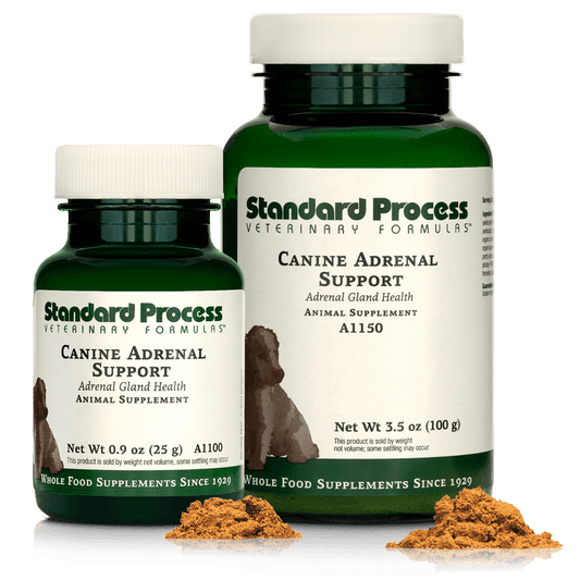 Canine Adrenal Support LG
