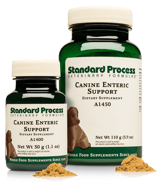 Canine Enteric Support LG