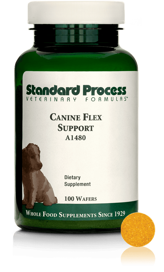 Canine Flex Support