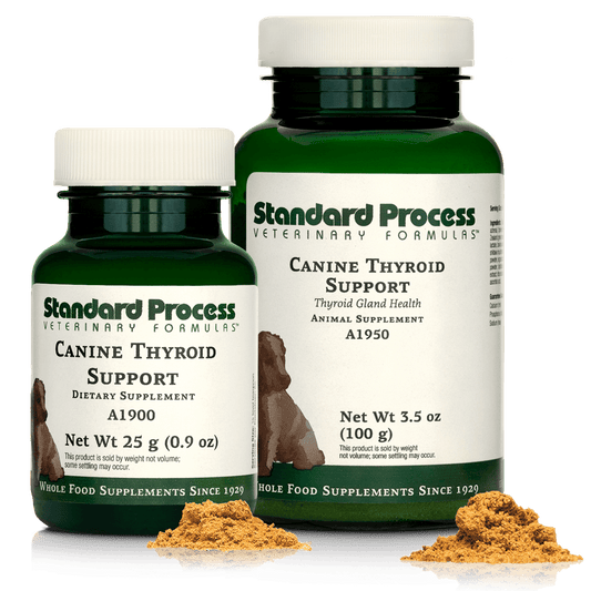Canine Thyroid Support LG
