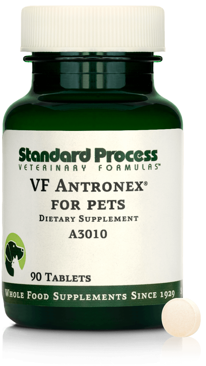 VF Antronex® for Pets