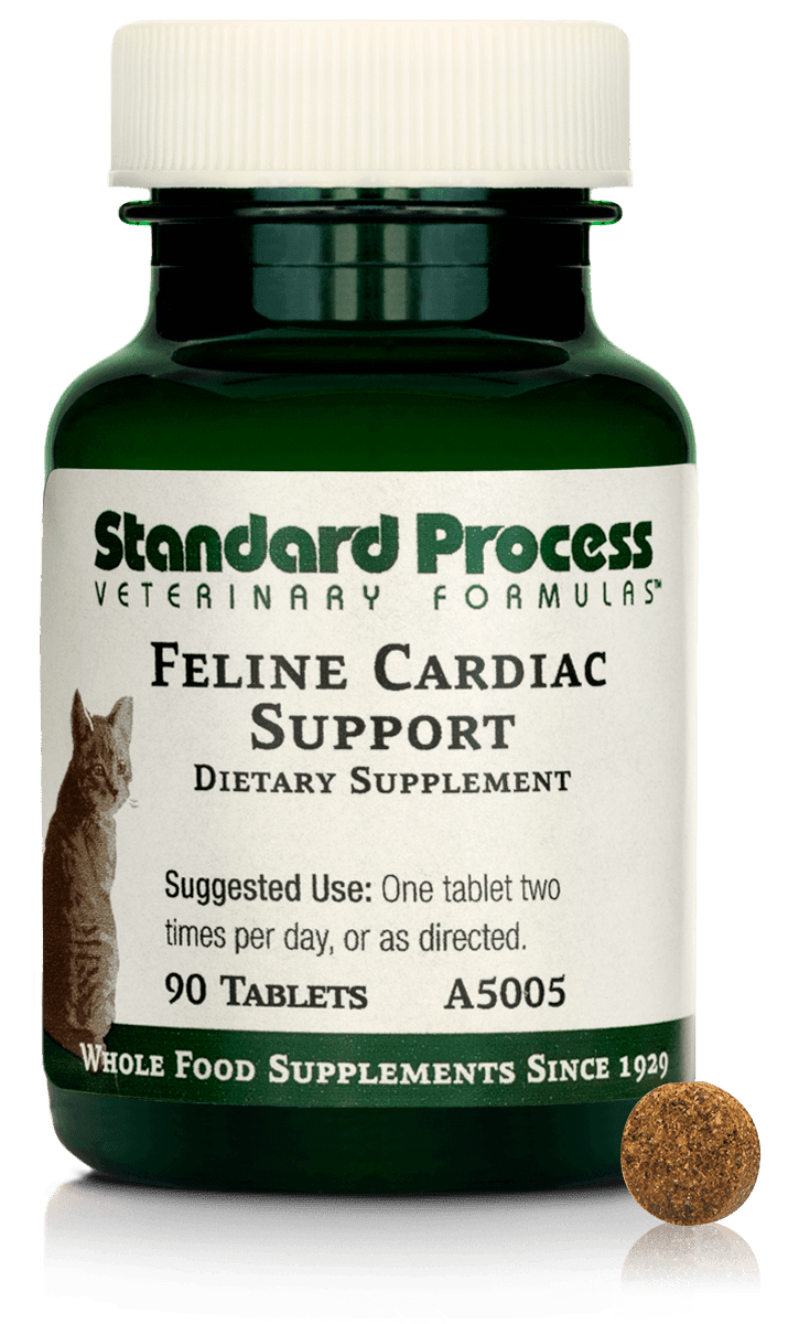 Feline Cardiac Support