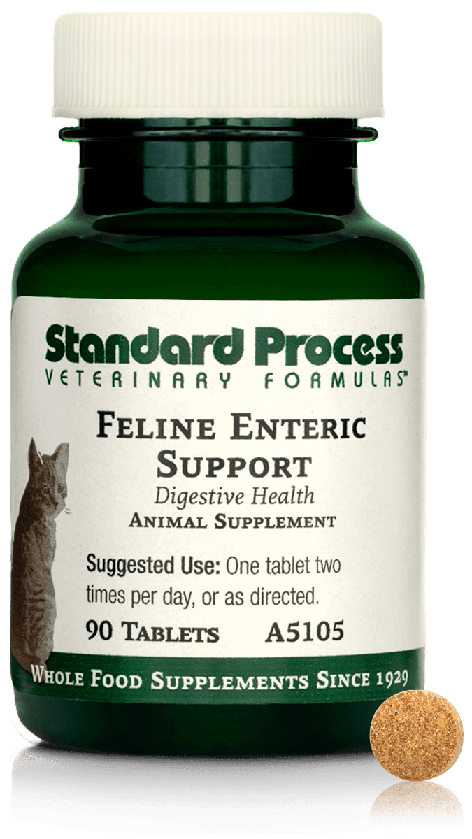 Feline Enteric Support