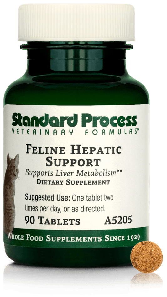 Feline Hepatic Support