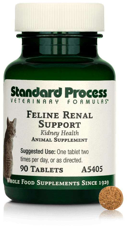 Feline Renal Support