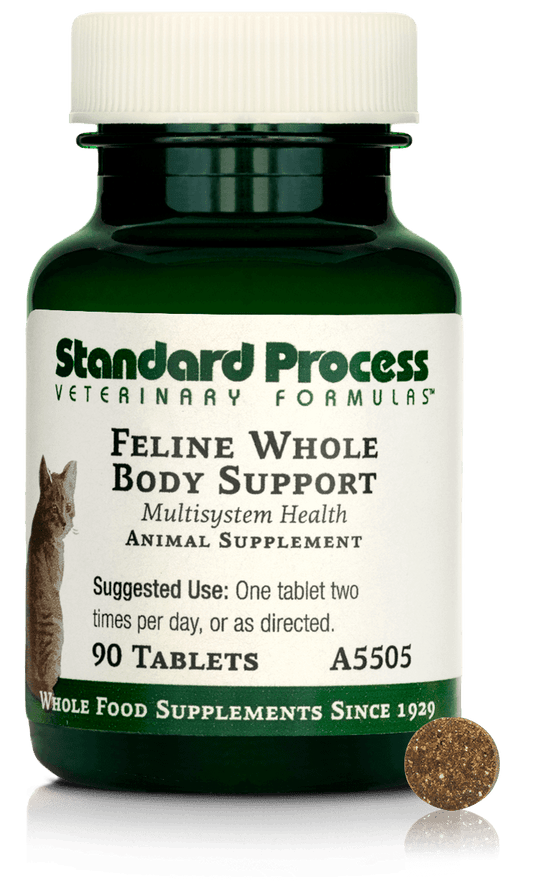 Feline Whole Body Support