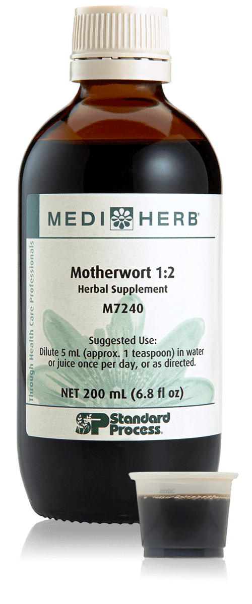 Motherwort 1:2