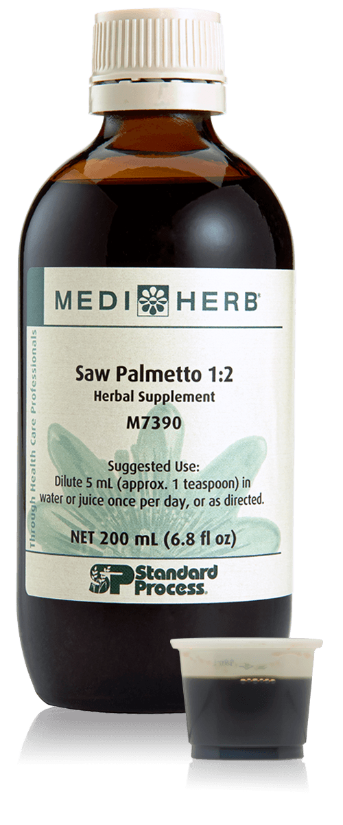 Saw Palmetto 1:2