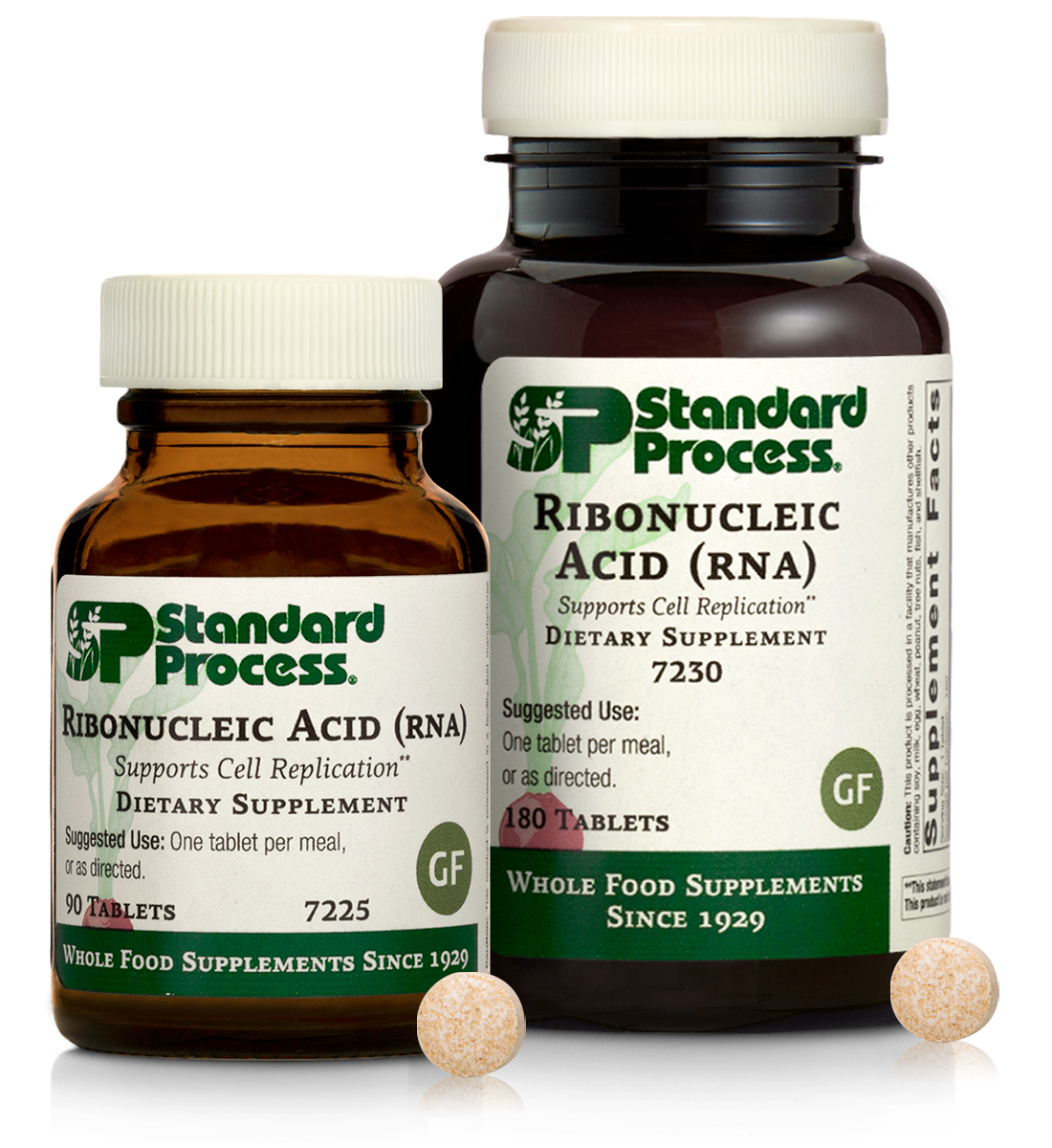 Ribonucleic Acid (RNA)