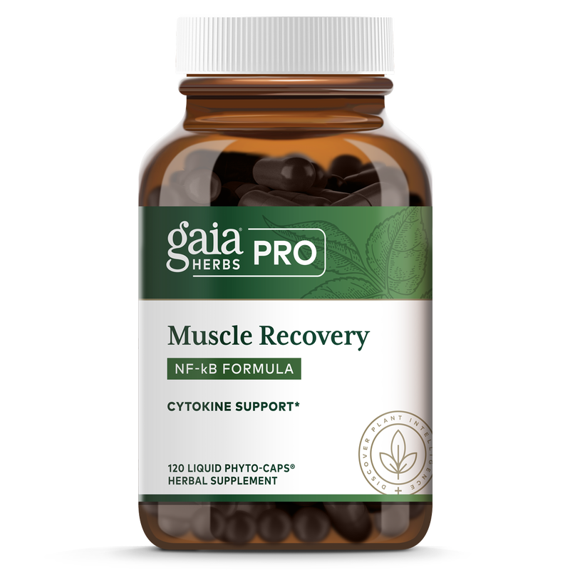 Muscle Recovery: NF-kB Formula (formerly Curcuma NF-kB: Nerve & Muscle)